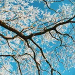 Processed with VSCO with c7 preset