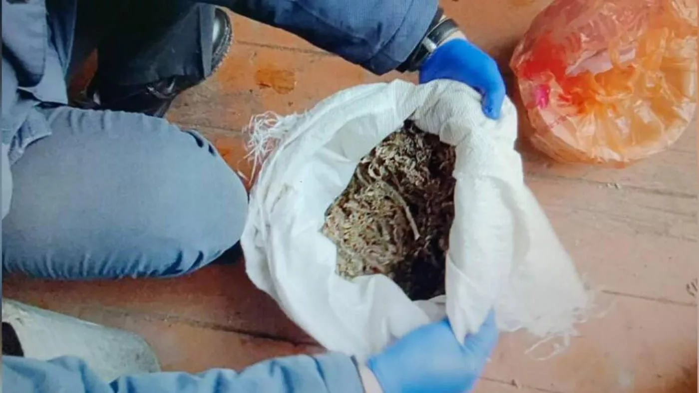 Больше килограмма марихуаны обнаружили полицейские дома у жителя Катон-Карагайского района ВКО