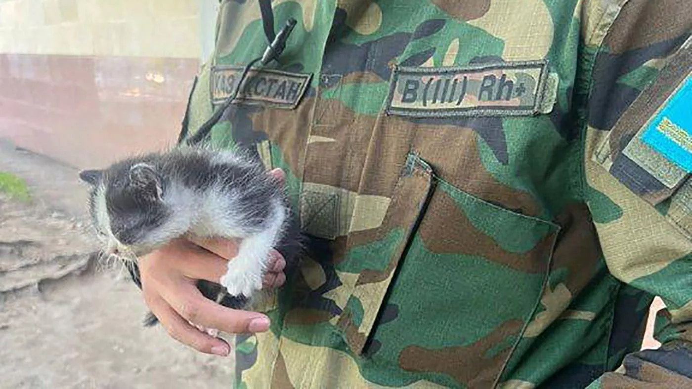 Самые интересные и необычные спасательные операции за год назвали в ДЧС ВКО