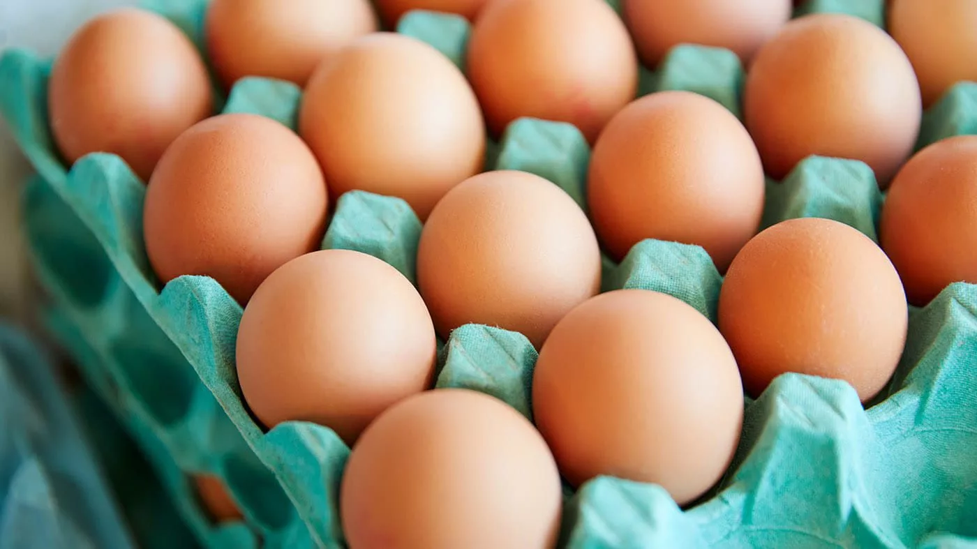 В ВКО планируют построить птицефабрику яичного направления