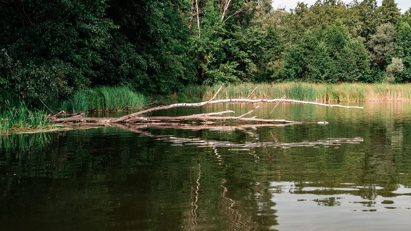 Одно водохранилище и три пруда в ВКО перешли в государственную собственность
