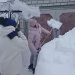 Изображение WhatsApp 2024-01-11 в 14.03.50_a2edbcc4