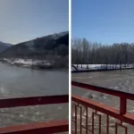 WhatsApp Video 2024-04-12 at 18.23