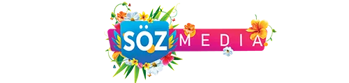 SOZMEDIA