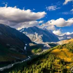 photo_2025-11-13_11-08-45